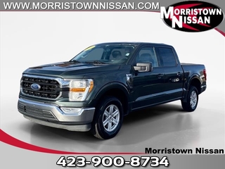 2021 Ford F-150 for sale in Morristown TN