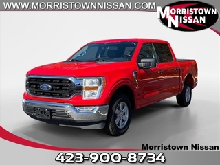 2021 Ford F-150 for sale in Morristown TN