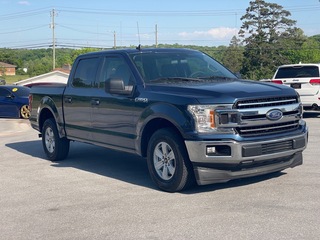 2019 Ford F-150 for sale in Knoxville TN