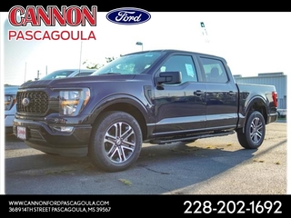 2023 Ford F-150 for sale in Orange TX