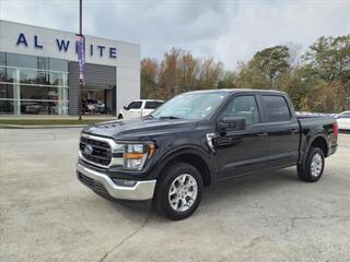 2023 Ford F-150 for sale in Manchester TN