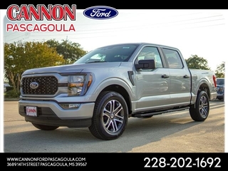 2023 Ford F-150 for sale in Orange TX