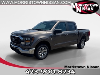 2023 Ford F-150 for sale in Morristown TN