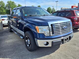 2010 Ford F-150 for sale in Clarksville TN