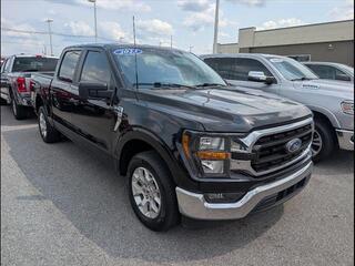 2023 Ford F-150 for sale in Bowling Green KY