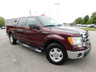 2010 Ford F-150 for sale in Clarksville TN