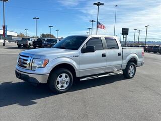 2010 Ford F-150 for sale in Kingsport TN