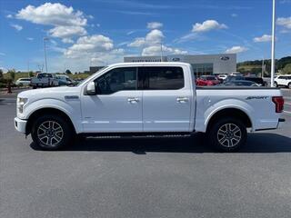 2015 Ford F-150 for sale in Dandridge TN