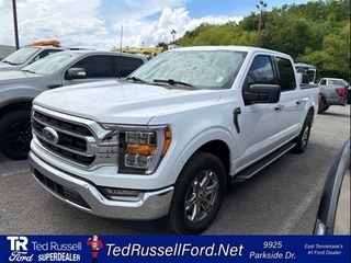2023 Ford F-150 for sale in Knoxville TN