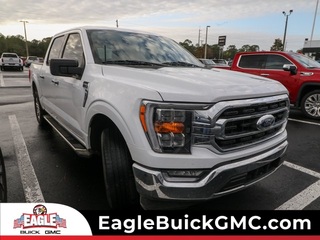 2023 Ford F-150 for sale in Homosassa FL