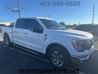 2021 Ford F-150 for sale in Morristown TN