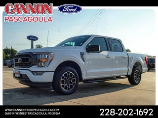 2023 Ford F-150 for sale in Orange TX