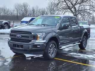 2019 Ford F-150 for sale in Woodhaven MI