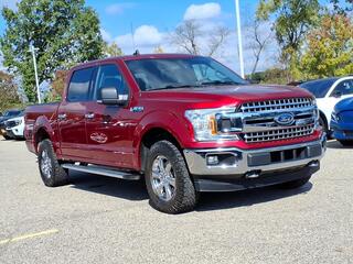 2019 Ford F-150 for sale in New Hudson MI