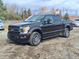 2019 Ford F-150 for sale in Belleville MI