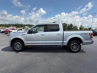 2019 Ford F-150 for sale in Dandridge TN