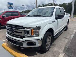 2019 Ford F-150 for sale in Dothan AL