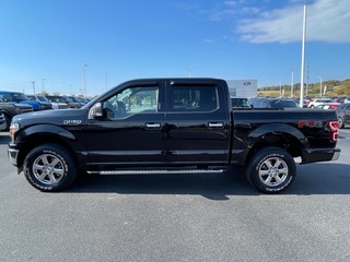 2018 Ford F-150 for sale in Dandridge TN