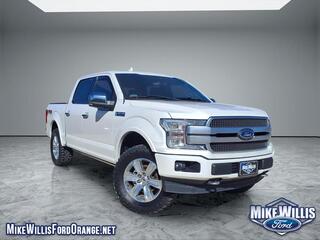 2019 Ford F-150 for sale in Orange TX