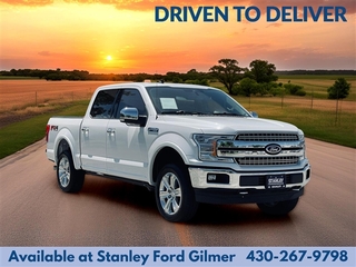 2019 Ford F-150 for sale in Dallas TX