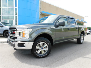 2019 Ford F-150 for sale in Gallatin TN