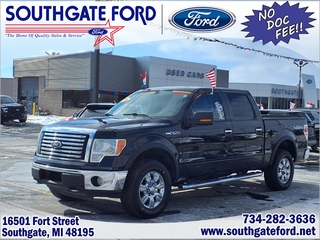 2010 Ford F-150 for sale in Southgate MI