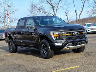 2022 Ford F-150 for sale in New Hudson MI