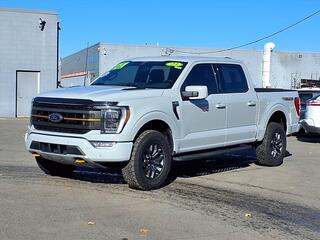 2023 Ford F-150 for sale in Woodhaven MI