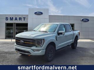2023 Ford F-150 for sale in Malvern AR