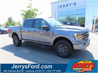 2023 Ford F-150 for sale in Leesburg VA