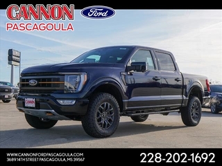 2023 Ford F-150 for sale in Orange TX