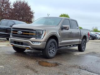 2022 Ford F-150 for sale in Farmington Hills MI