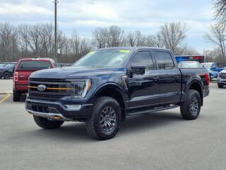 2022 Ford F-150 for sale in Woodhaven MI