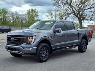 2023 Ford F-150 for sale in Woodhaven MI