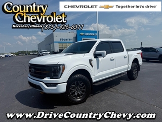 2023 Ford F-150 for sale in Herscher IL