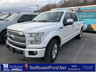 2015 Ford F-150 for sale in Knoxville TN
