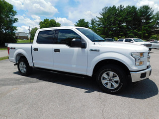 2017 Ford F-150 for sale in Clarksville TN