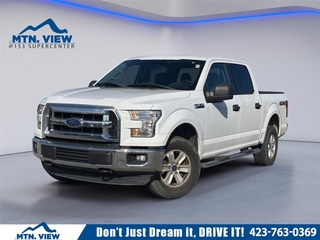2016 Ford F-150 for sale in Chattanooga TN