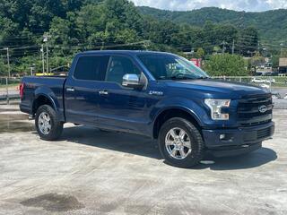 2015 Ford F-150 for sale in Waynesville NC