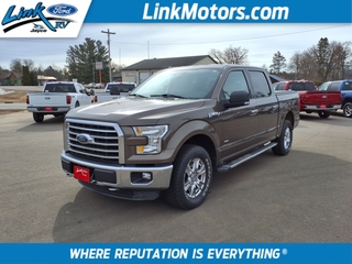 2015 Ford F-150 for sale in Minong WI