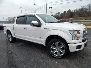 2015 Ford F-150 for sale in Clarksville TN