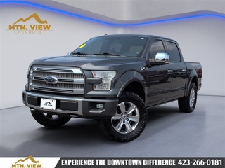 2015 Ford F-150 for sale in Chattanooga TN
