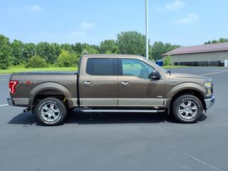 2015 Ford F-150 for sale in Hutchinson MN