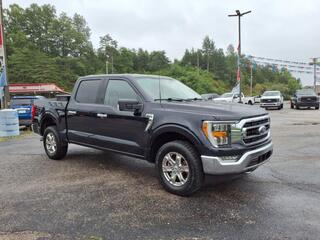2021 Ford F-150 for sale in Ripley WV