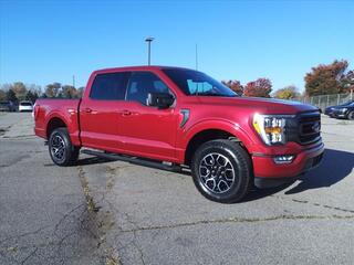 2022 Ford F-150 for sale in Saline MI