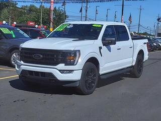 2022 Ford F-150 for sale in Woodhaven MI