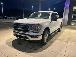 2023 Ford F-150 for sale in Jackson MI