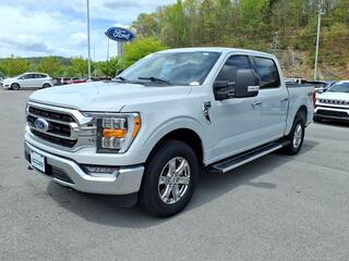 2023 Ford F-150 for sale in Bristol TN