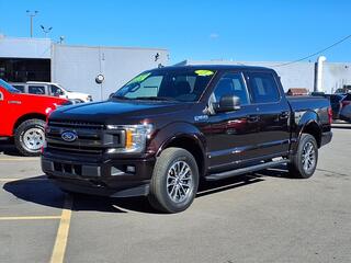 2019 Ford F-150 for sale in Woodhaven MI