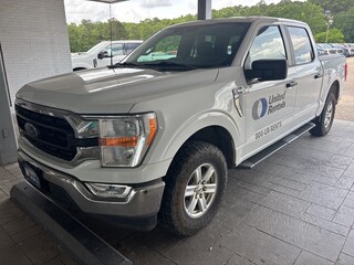 2022 Ford F-150 for sale in Dothan AL